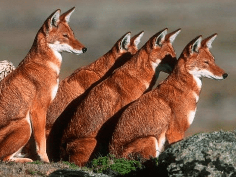 7 Days Omo Valley Southern Ethiopia