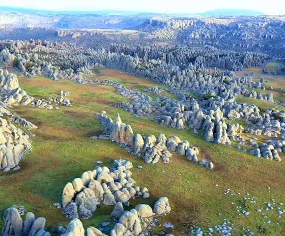 Day 4 - Full day in Chebera Churchura National Park