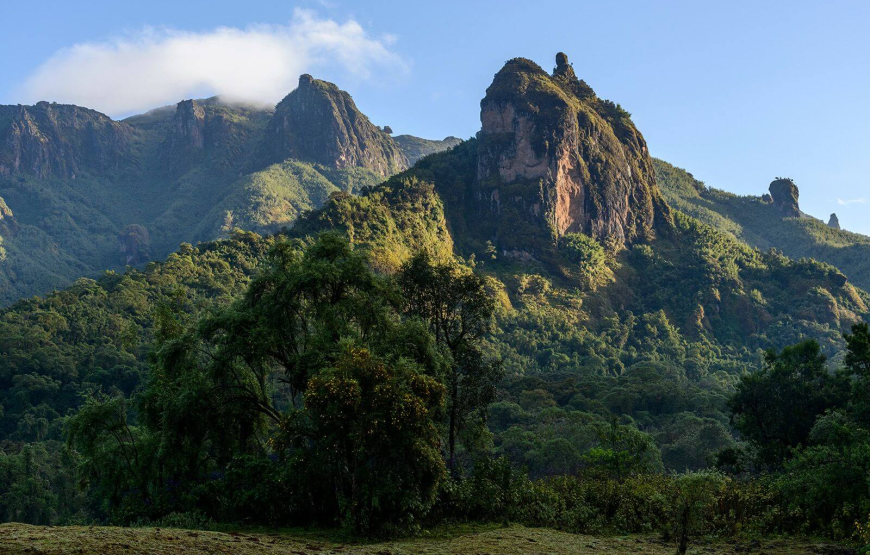 Ethiopia Wildlife & Safari Explorer – 10-Day Special