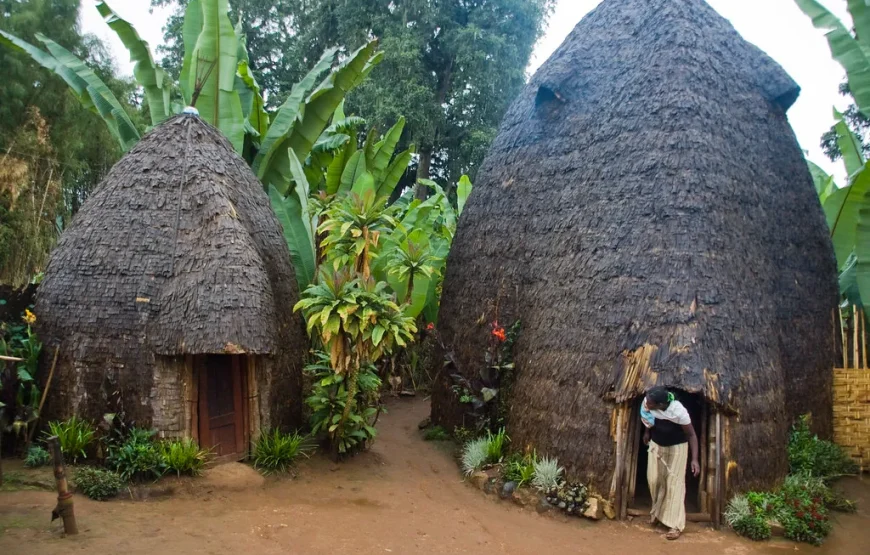 Ethiopia Wildlife & Safari Explorer – 10-Day Special