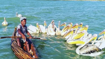 Monasteries Around Lake Tana: A Guide to Ethiopia’s Sacred Island Retreats