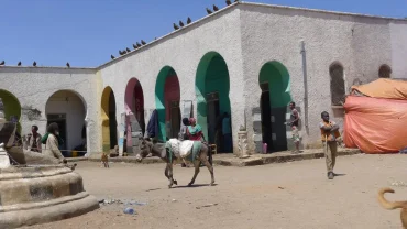 Exploring Harar Jugol Wall in Ethiopia: History & Culture