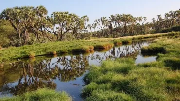 Rift Valley Tours Ethiopia: Lakes & Natural Wonders
