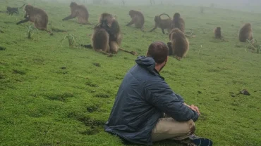 Best Ethiopia Safari Tours: Explore Wildlife and Wild Landscapes