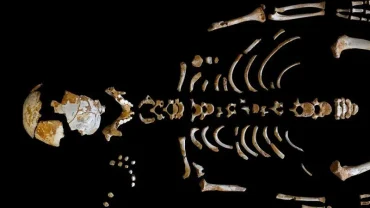 Human Origins in Ethiopia: The Cradle of Mankind