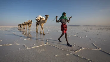 How to Choose the Perfect Ethiopia Tour